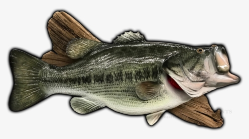 Bass Mount, HD Png Download, Free Download