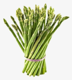 Tied Bundle Of Asparagus - Celery Translate In Arabic, HD Png Download, Free Download