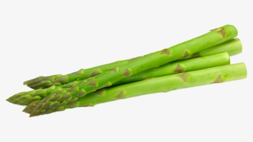 Transparent Asparagus Png - Bamboo Shoot, Png Download, Free Download