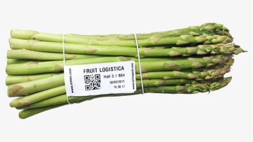 Verarbeitungssystem Spargel - Welsh Onion, HD Png Download, Free Download