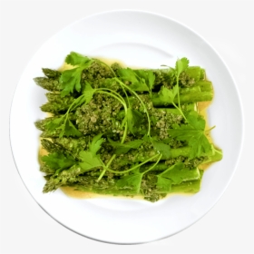 Sea Lettuce, HD Png Download, Free Download
