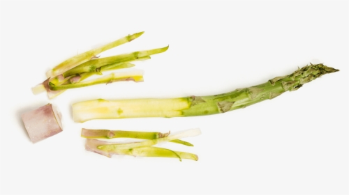Asparagus, HD Png Download, Free Download