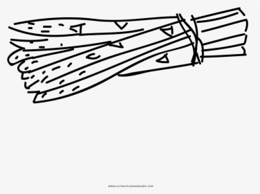 Hand Drawn Asparagus Coloring Page - Line Art, HD Png Download, Free Download