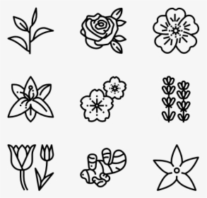 Natural Scent - Flower Pictogram, HD Png Download, Free Download