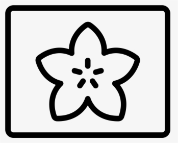 The Large Icon Has A Flower Like Shape With Five Rounded - Icon, HD Png Download, Free Download
