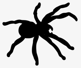 Tarantula Png - Spider Silhouette Png, Transparent Png, Free Download