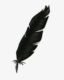 Feather Light Clip Art - Black Feather Transparent Background, HD Png Download, Free Download