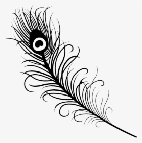 Successful Peacock Feather Coloring Page Books - Simple Peacock Feather Drawing, HD Png Download, Free Download
