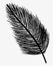 #feather #bw #blackandwhite #black #baw #ftefeathers - Sketch, HD Png Download, Free Download