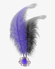 #mq #purple #black #feathers #feather - Feather, HD Png Download, Free Download