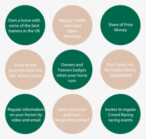9 Reasons To Own A Racehorse - Circle, HD Png Download, Free Download