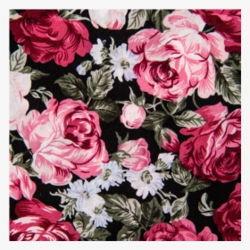 Cotton Poplin Printed Roses Dusty Pink/black - Garden Roses, HD Png Download, Free Download