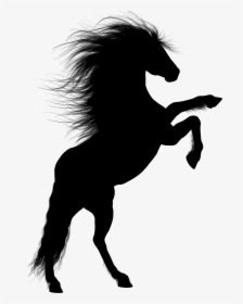 Rearing Horse Silhouette Transparent, HD Png Download, Free Download