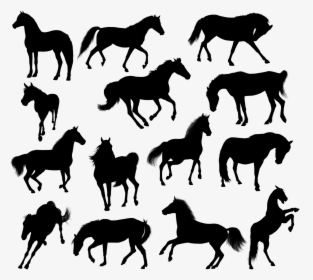 Horse Horses Silhouette Free Picture - Chevaux Silhouette, HD Png Download, Free Download