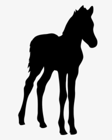 Baby Horse Silhouette Clipart , Png Download - Baby Horse Foal Silhouette, Transparent Png, Free Download