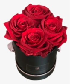 Red Long Lasting Roses In X-small Round Black Box - 12 Red Rose Small Round Box, HD Png Download, Free Download