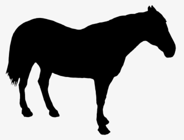 Horse Standing Silhouette - Saber Tooth Cat Silhouette, HD Png Download, Free Download