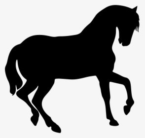 Transparent Horse Icon Png - Horse Silhouette Clipart Png, Png Download, Free Download