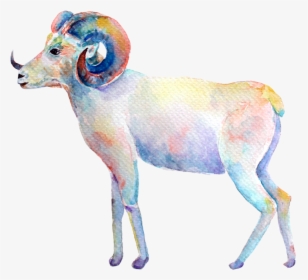 Aries New Moon - Bighorn, HD Png Download, Free Download