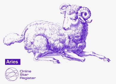 Dall's Sheep, HD Png Download, Free Download