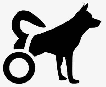 Disabled Dog - Disabled Dog Clipart, HD Png Download, Free Download