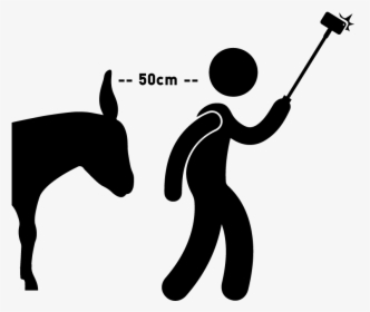 Walk The Dog Icon Clipart , Png Download - Silhouette, Transparent Png, Free Download