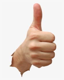 Thumb Up Png, Transparent Png, Free Download