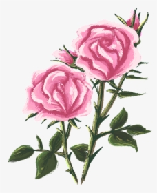 Rose, Drawing, Painting, Flower, Floral, Decoration - Flower Drawing Png, Transparent Png, Free Download