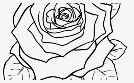 Vintage Flower Drawing At Getdrawings - Beautiful Rose Flower Drawing, HD Png Download, Free Download