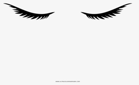 Eyelashes Coloring Page - Illustration, HD Png Download, Free Download