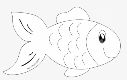 Fish Clipart Outline - Outline Images Of Fish Clipart, HD Png Download -  kindpng
