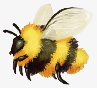 A Quick Fuzzy Bumblebee Friend - Fuzzy Bumblebee, HD Png Download, Free Download