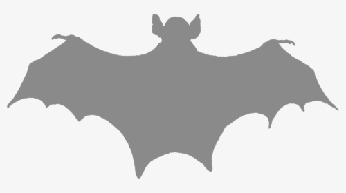 Bat Silhouette No Background, HD Png Download, Free Download