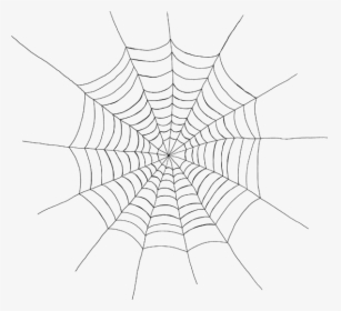 Spiderman Spider Web Png, Transparent Png, Free Download