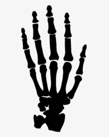 Hands Png For - Skeleton Hand Png, Transparent Png, Free Download