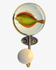 "  Class="lazyload Lazyload Mirage Cloudzoom Featured - Feeder Fish, HD Png Download, Free Download