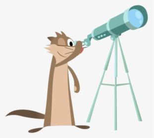 Luna"s Pet Ferret Clyde Looking Through Telescope - Show Da Luna Telescopio, HD Png Download, Free Download