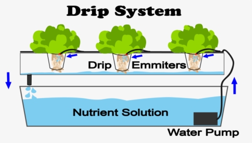 Hydroponics Types, HD Png Download - kindpng