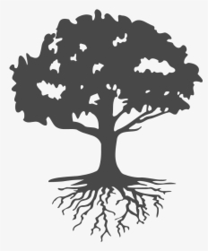 Roots Clipart Landscaping - Tree With Roots Silhouette, HD Png Download, Free Download