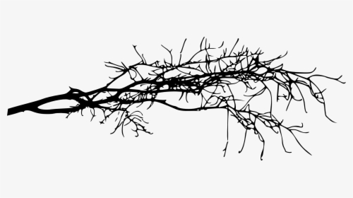Tree Branch Transparent Background, HD Png Download, Free Download