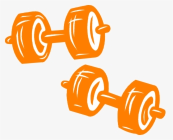 Clip Art Bodybuilding Weights And Dumbbells - Dumbbell Orange Vector Png, Transparent Png, Free Download