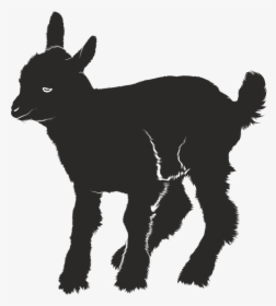Goat Silhouette Black Free Picture - Goat Shadow, HD Png Download, Free Download