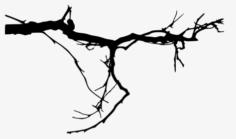 Transparent Tree Roots Silhouette Png - Tree Branches Transparent Background, Png Download, Free Download