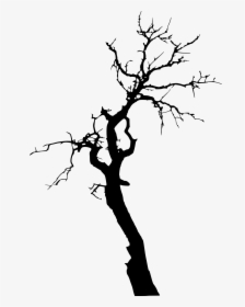 Transparent Dead Tree Png - Tree Silhouette Transparent Background, Png Download, Free Download