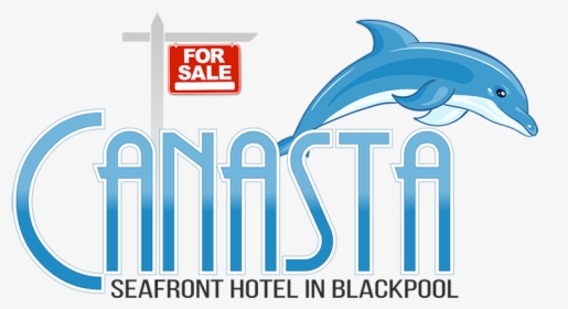 The Canasta Hotel Blackpool - Common Bottlenose Dolphin, HD Png Download, Free Download