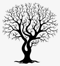 Tree,branch,woody Art,plant Stem,trunk,twig,black And - Bare Tree Branches Silhouette, HD Png Download, Free Download