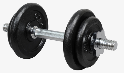 Transparent Weights Clipart - Dumbbell Png, Png Download, Free Download