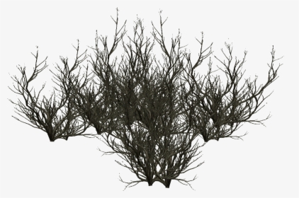 Transparent Tree With Roots Clipart Black And White - Silhouette, HD Png Download, Free Download
