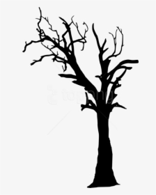 Transparent Trees Png - Dead Tree Silhouette Png, Png Download, Free Download