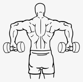 Download Dumbbell Drawing Bodybuilder Arm - Cuban Press, HD Png Download, Free Download